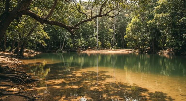 5 Queensland Villages Where Green Adventures Eclipse Typical Tourist Trails